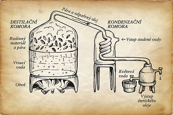 destilace éterického oleje - přírodní kosmetika Nobilis Tilia