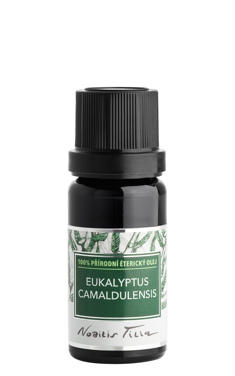 Éterický olej Eukalyptus camaldulensis
