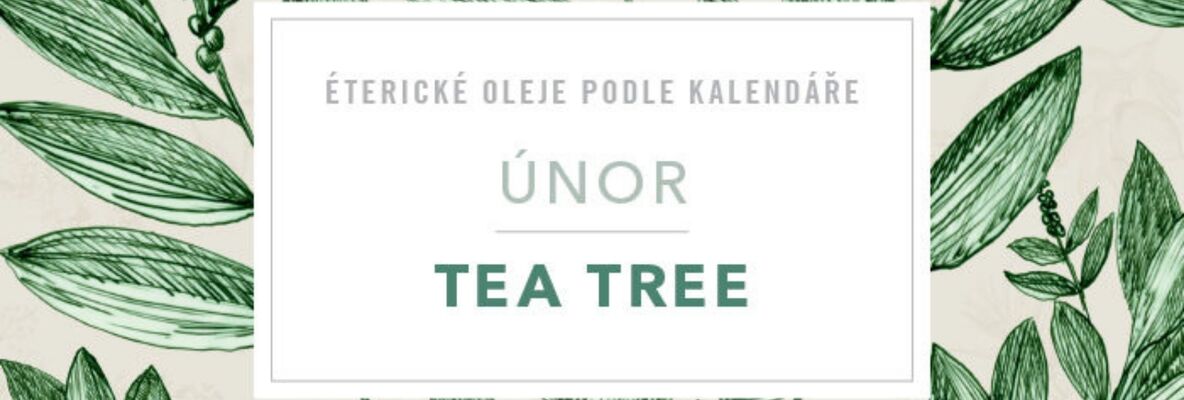 Tea tree: únorový strážce odolnosti - přírodní kosmetika Nobilis Tilia