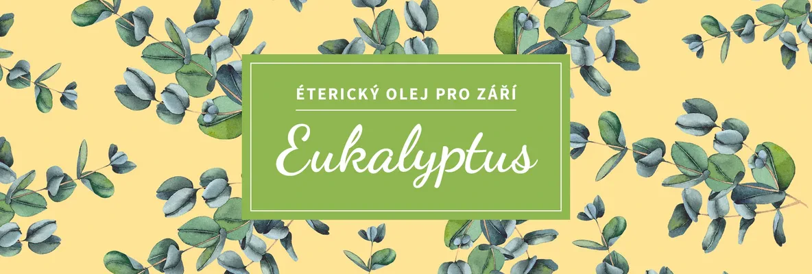 Eukalyptus: prodýchejte se v září ke zdraví - přírodní kosmetika Nobilis Tilia