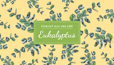 Eukalyptus: prodýchejte se v září ke zdraví - přírodní kosmetika Nobilis Tilia