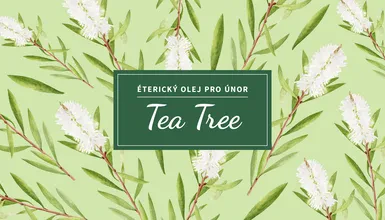 Tea tree: únorový strážce odolnosti - přírodní kosmetika Nobilis Tilia