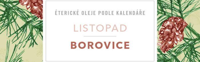 Borovice: listopadová posila pro podzimní dny - přírodní kosmetika Nobilis Tilia