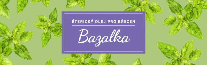 Bazalka: Voňavý pomocník pro praktický život - přírodní kosmetika Nobilis Tilia