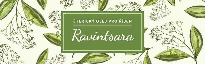 Ravintsara: říjnový bojovník proti virům - přírodní kosmetika Nobilis Tilia